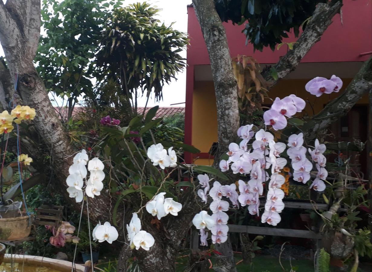 Pousada Bromelias - Suites E Aptos Nova Viçosa Exterior foto